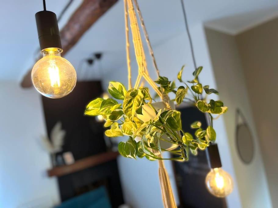 Ottanio Lake Apartment Пизоние Екстериор снимка